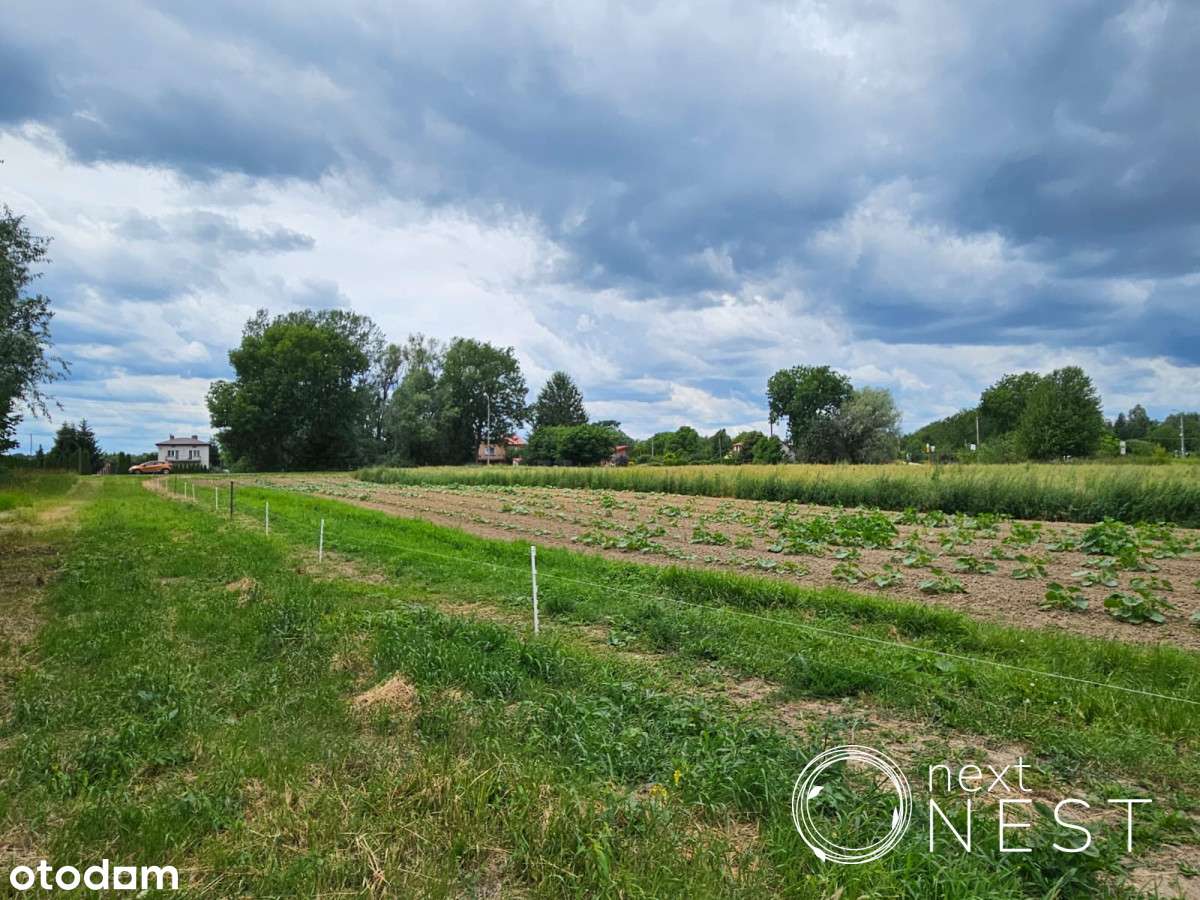 Teren rolno-budowlany 8 km od centrum Konstancina - Pełny obrazek: 5/14