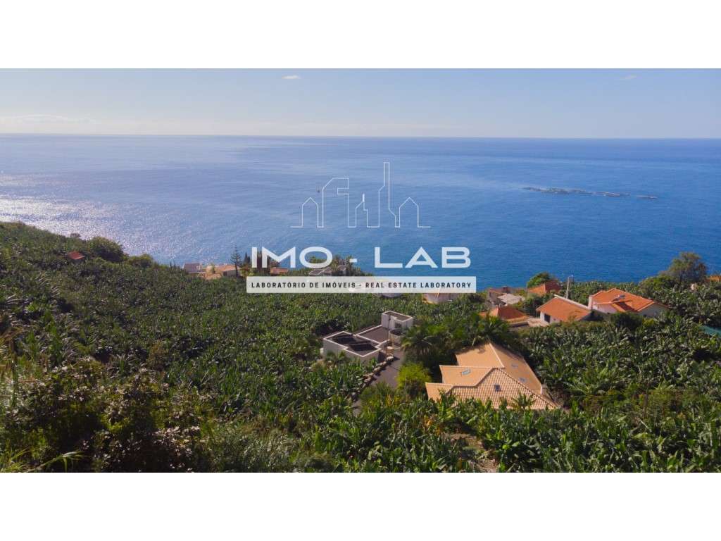 Terreno com 2295m2 - Arco da Calheta - Vista Mar - Grande imagem: 3/10