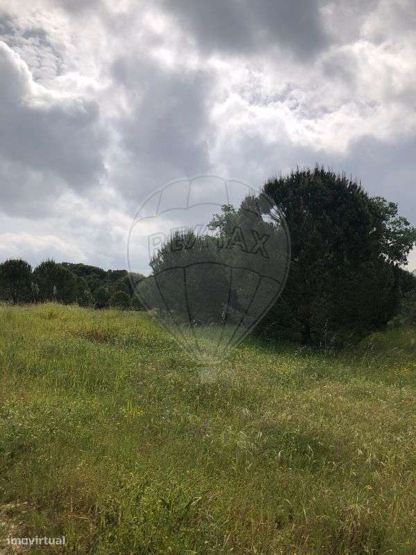 Terreno  para venda - Grande imagem: 3/5