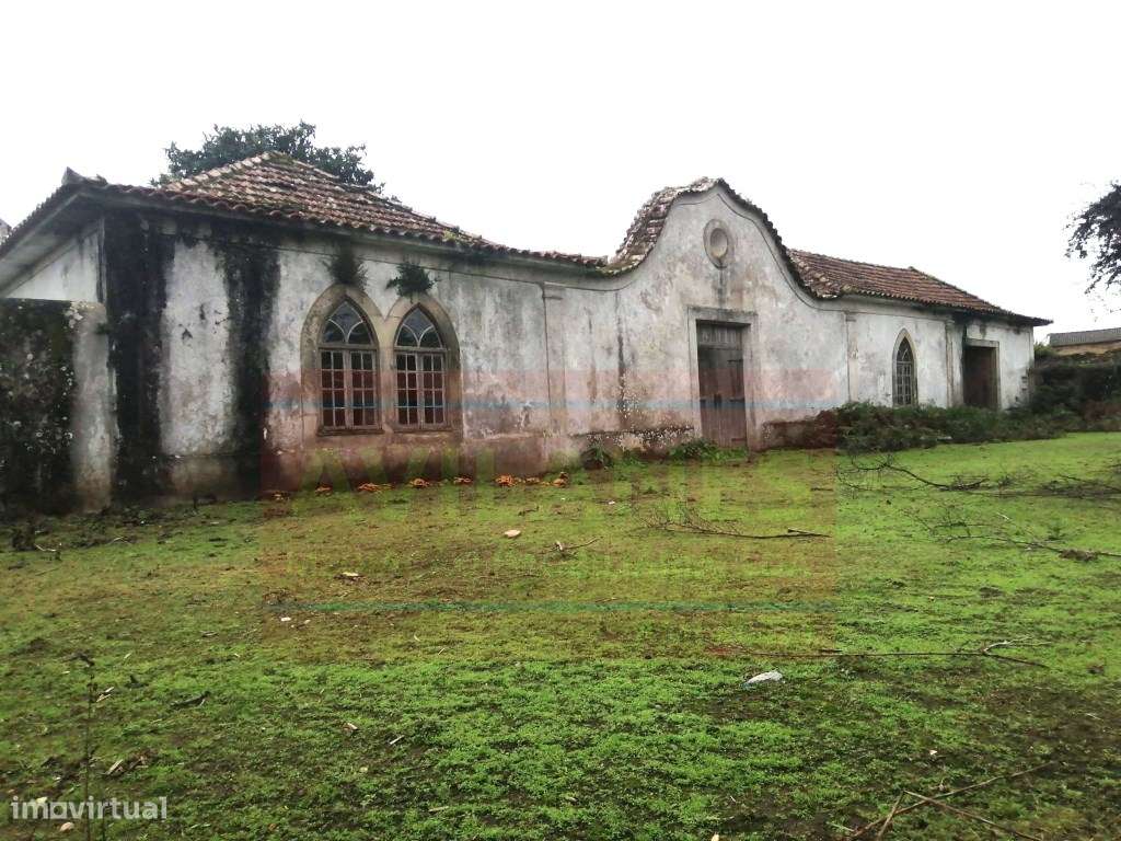 QUINTA - GIÃO-9