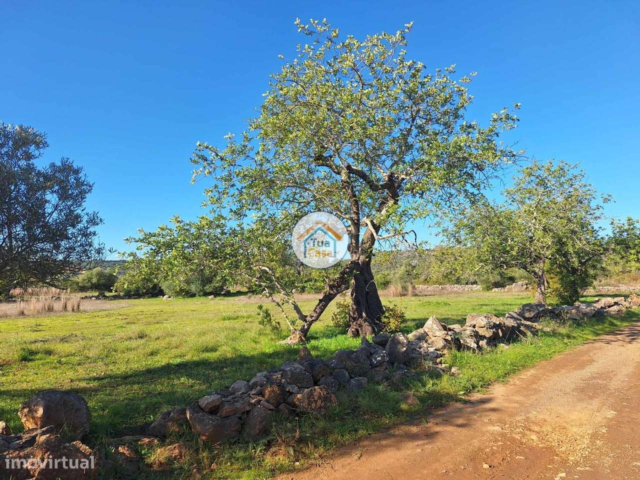 Terreno rústico - Grande imagem: 5/21