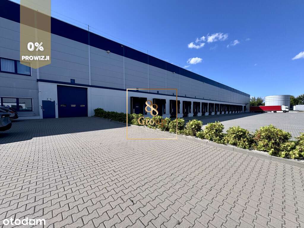 Magazyn 2000 - 4000m2 Ożarów Mazowiecki - Pełny obrazek: 4/5