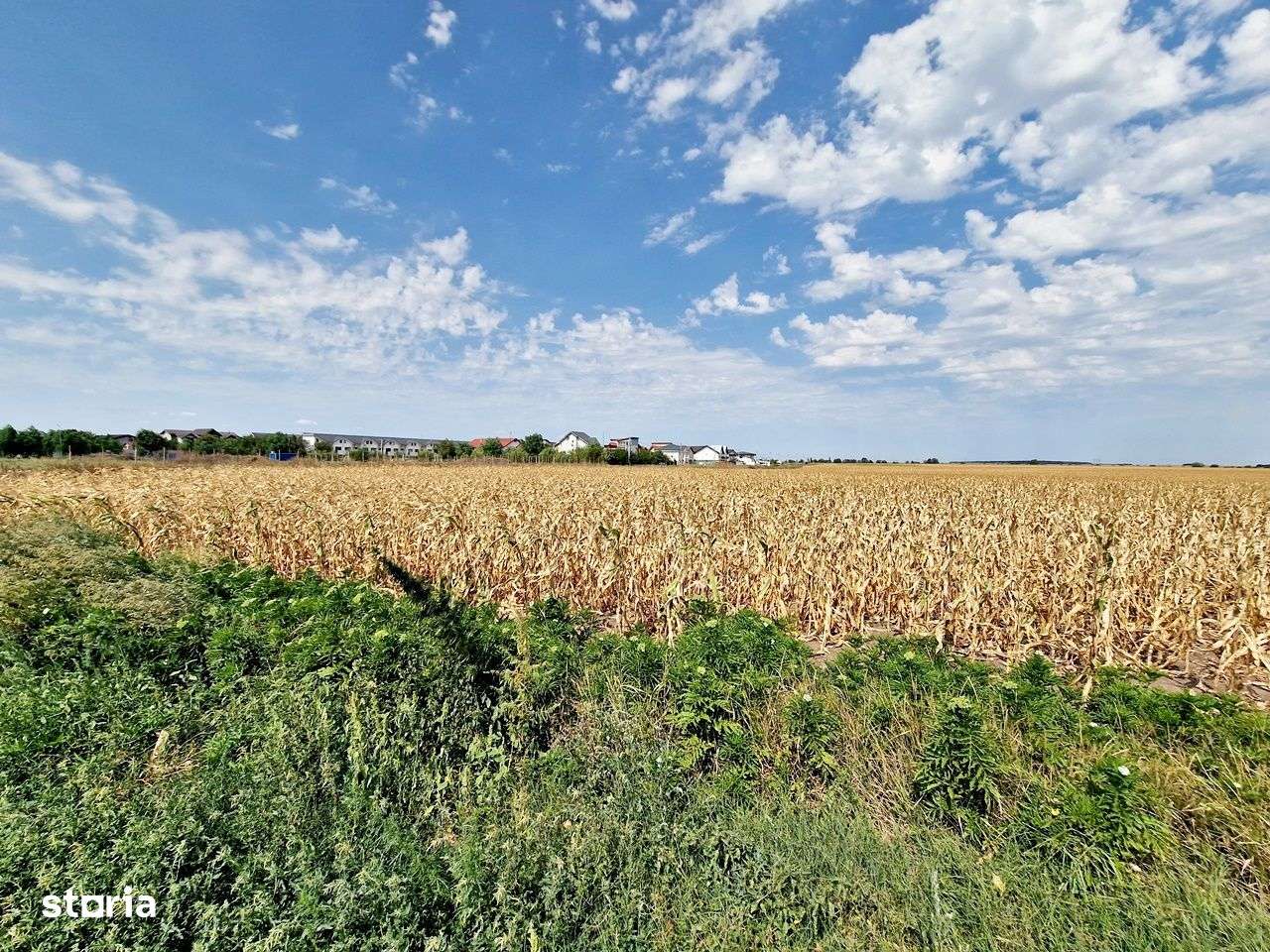 Teren intravilan- ALLEGRIA/ DN4 Glina 187500 mp - Imagine principală: 2/15