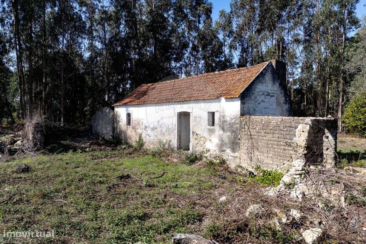 Quinta  para venda - Grande imagem: 5/14