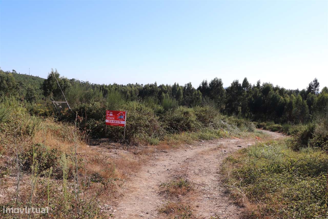 Lote de Terreno  Venda em Lustosa e Barrosas (Santo Estêvão),Lousada - Grande imagem: 2/6