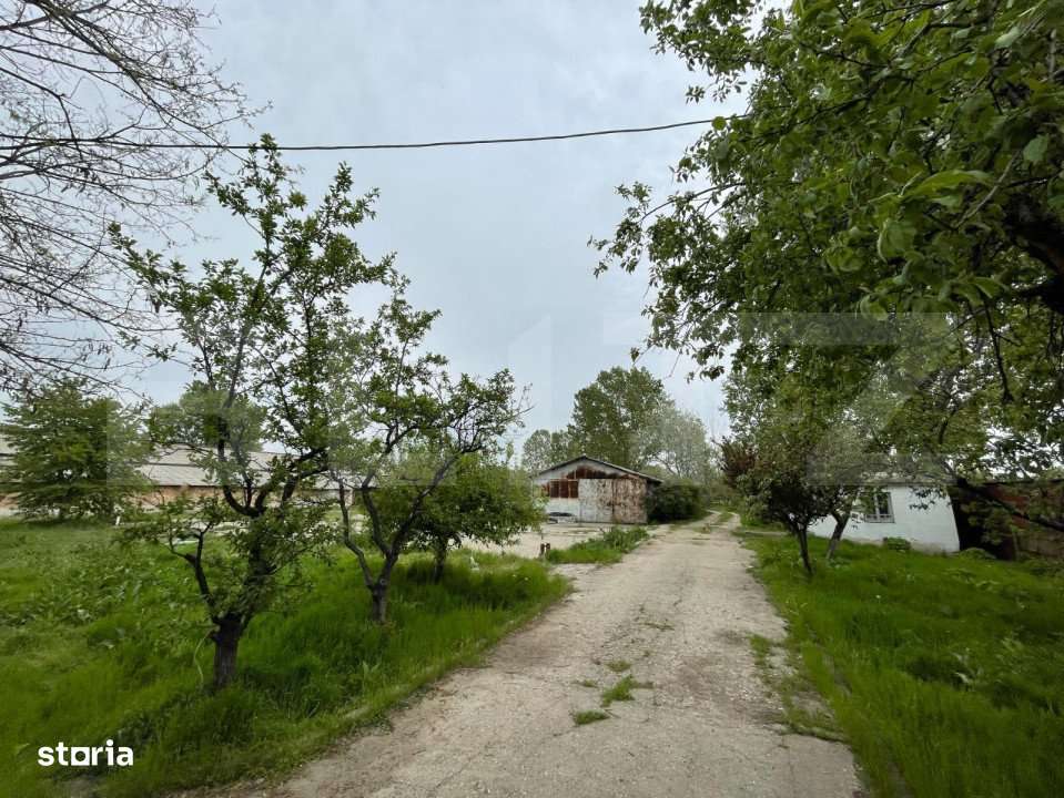 Oportunitate! Teren intravilan 3 hectare, Bals - Imagine principală: 2/5