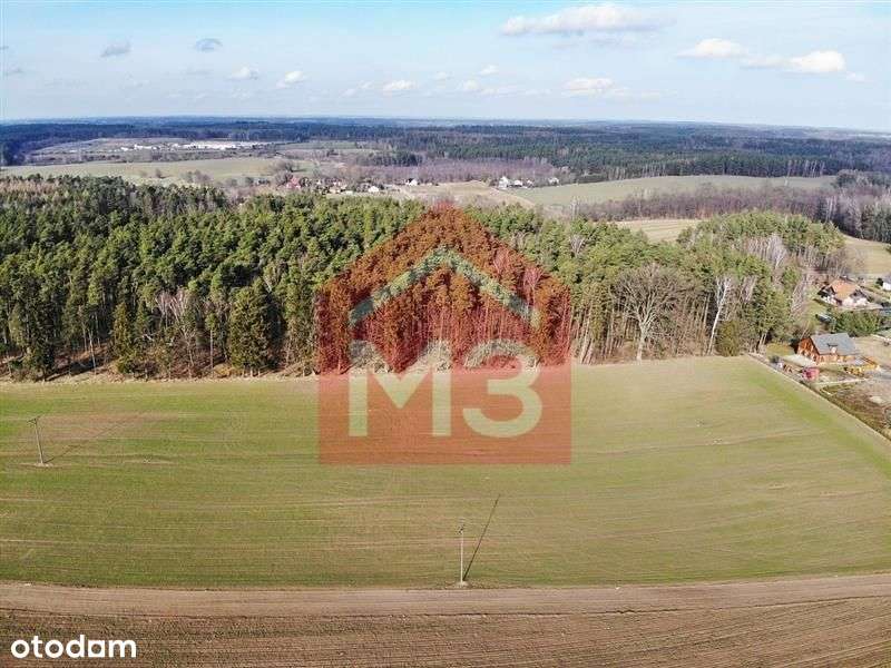 Sucumin - działka 3088 m2 ze ścianą lasu - Pełny obrazek: 5/8