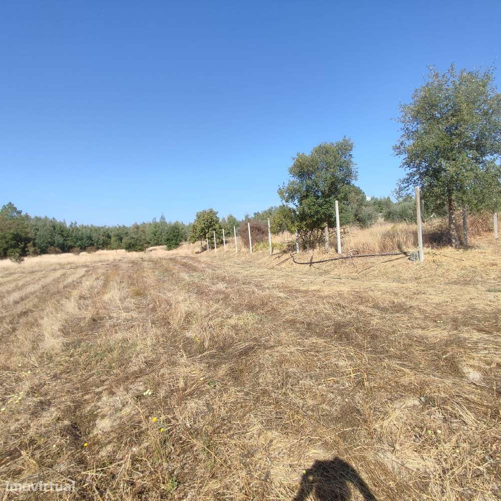 Terreno Rústico com 4625m2 na Lardosa, Castelo Branco - Grande imagem: 5/14