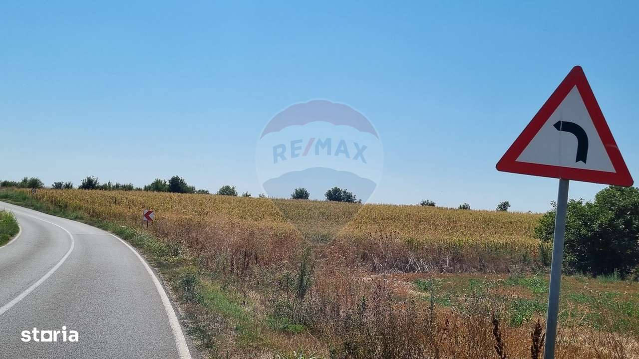 Teren 16.083 mp de vânzare – Sinești, sat Lilieci, Slobozia - Imagine principală: 2/3