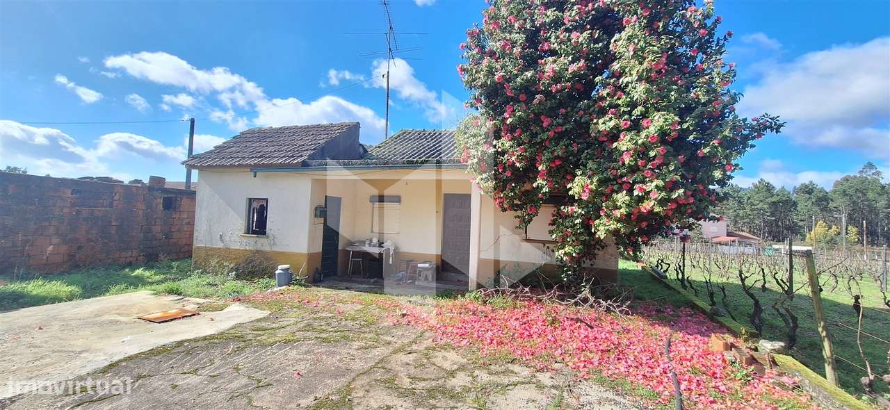 Moradia Devoluta T1 Venda em Molelos,Tondela-12