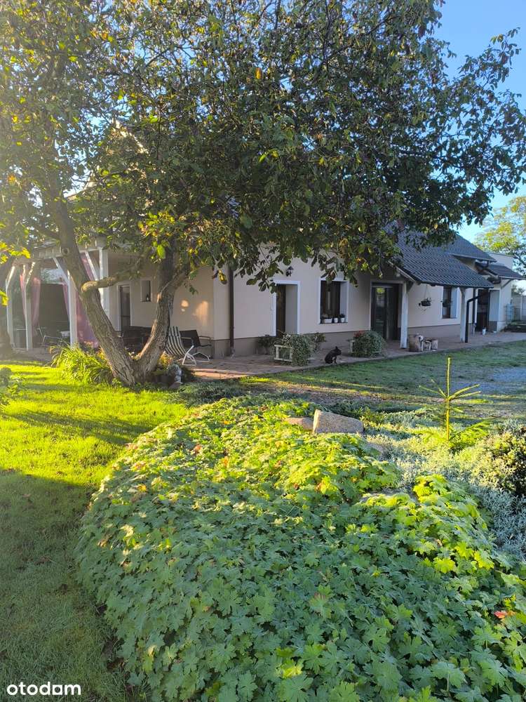 Dwa domy na jednej działce w Zamysłowie (obok Szlichtyngowej)-17