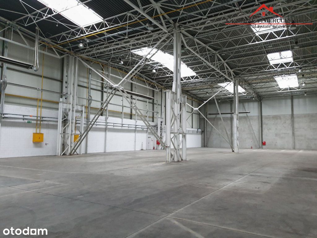 Hala /Magazyn 1539 m2 / 4550 m2/ 300 m2 + Biura