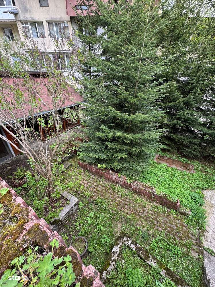Apartament la curte Predeal-10