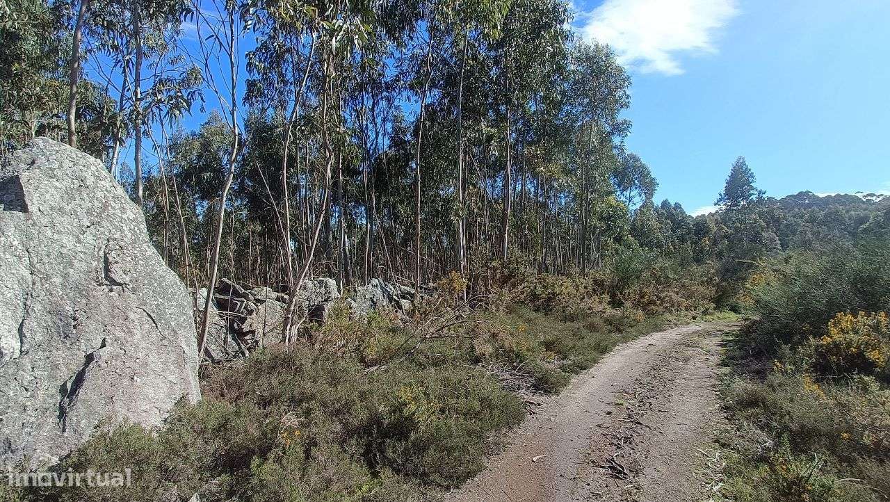 Propriedade Rústica em Santo Tirso-1
