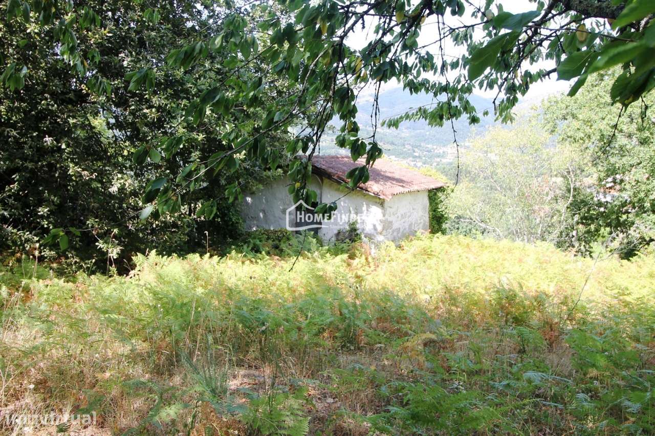 Moradia para Recuperar com Amplo Terreno e Potencial Infinito em Frian-19