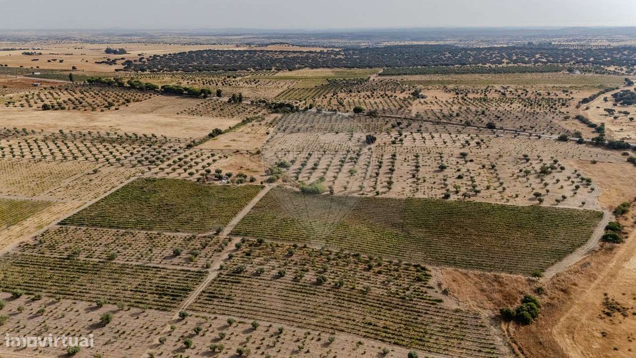 Terreno  para venda - Grande imagem: 2/26