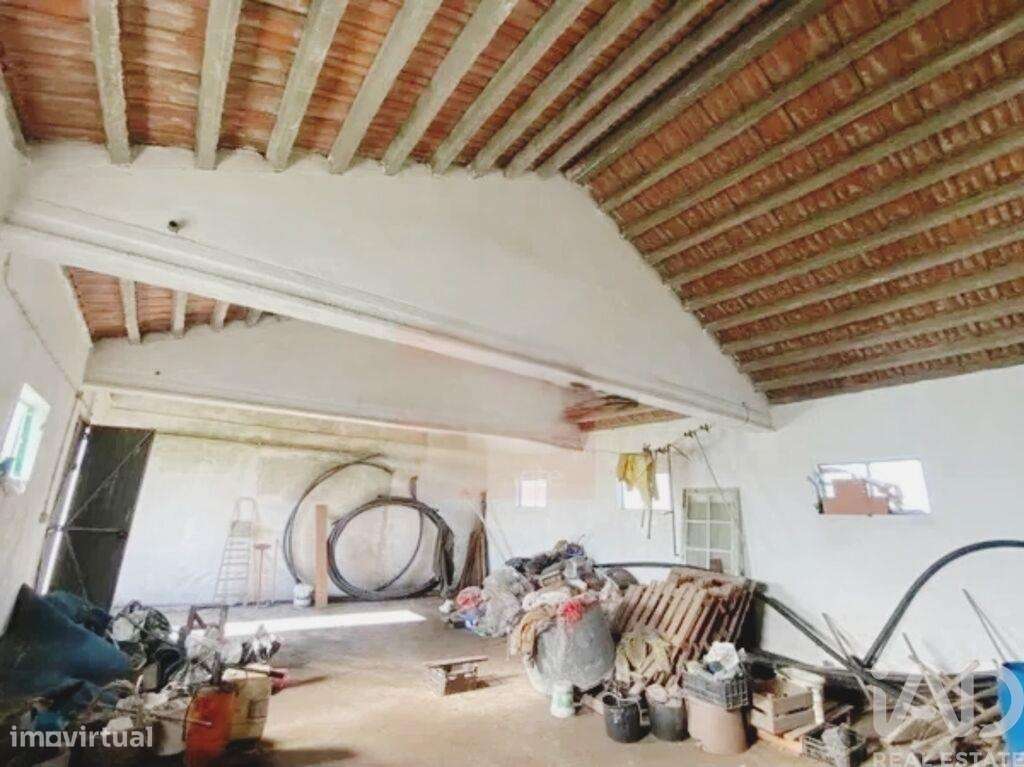 Terreno Agrícola em Samouco - Grande imagem: 4/28