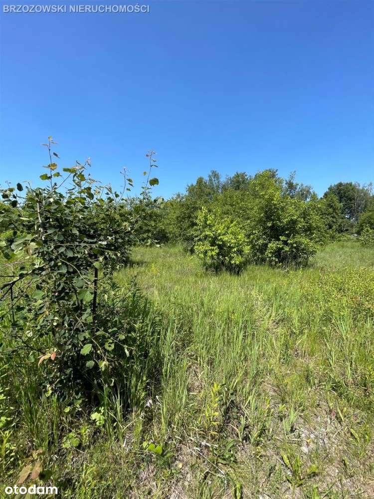 Białołęka, 1420 m2, Wz dom wolnostojący-3