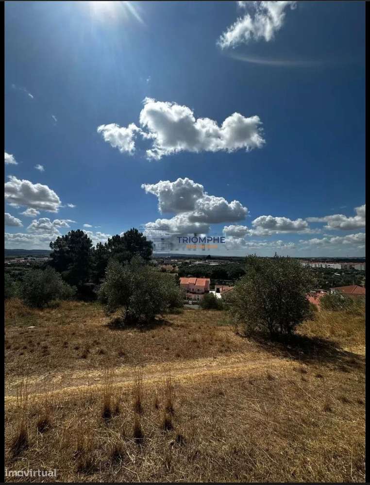 Terreno Urbano para Construção - Cardal - Grande imagem: 4/4