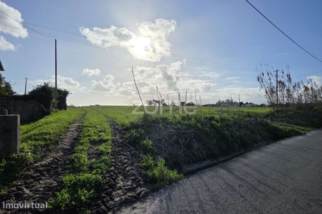 Terreno c/ Projeto Aprovado para Moradia T3 Térrea | Piscina | 1500m2-9