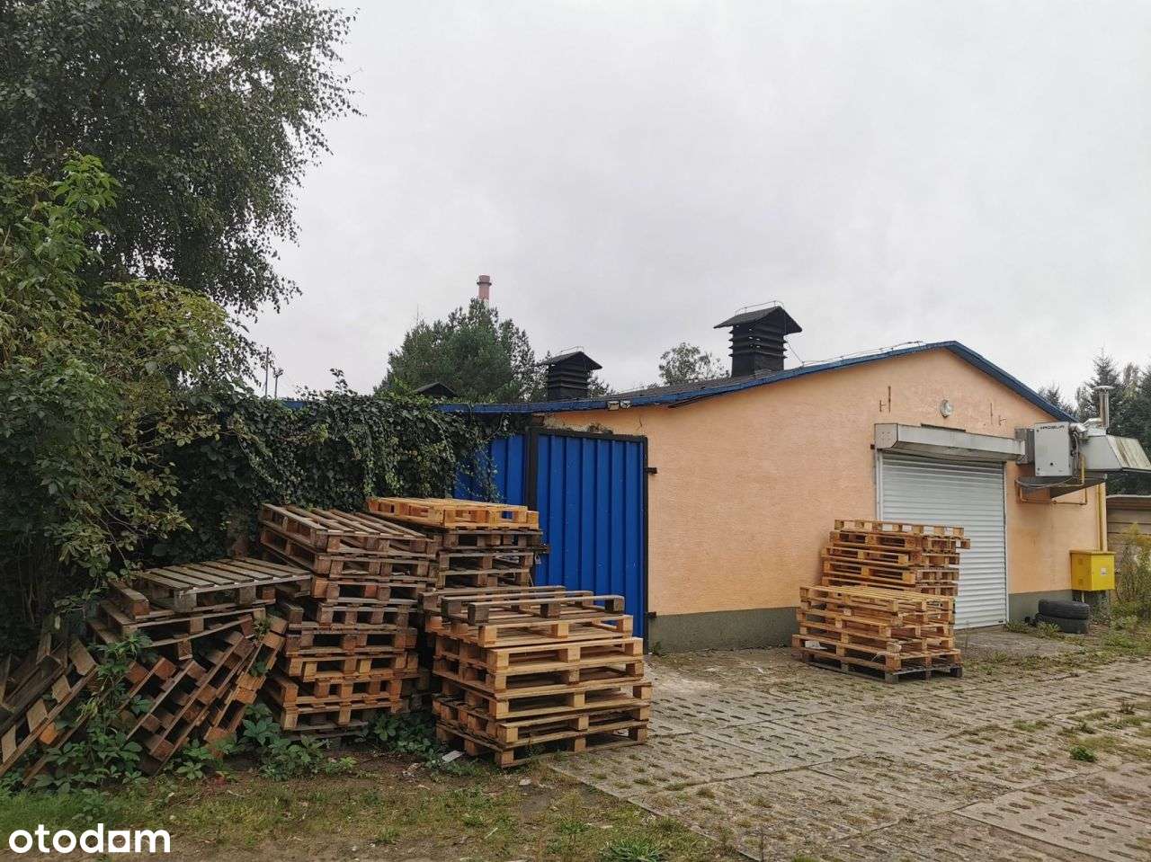 Hale usługowo-magazynowe, biura, duża działka - Zł - Pełny obrazek: 5/20