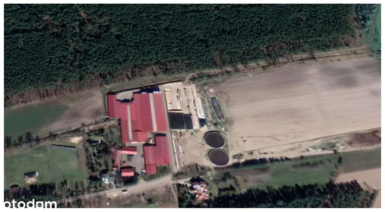 Duże gospodarstwo hodowli bydła PRZETARG-0