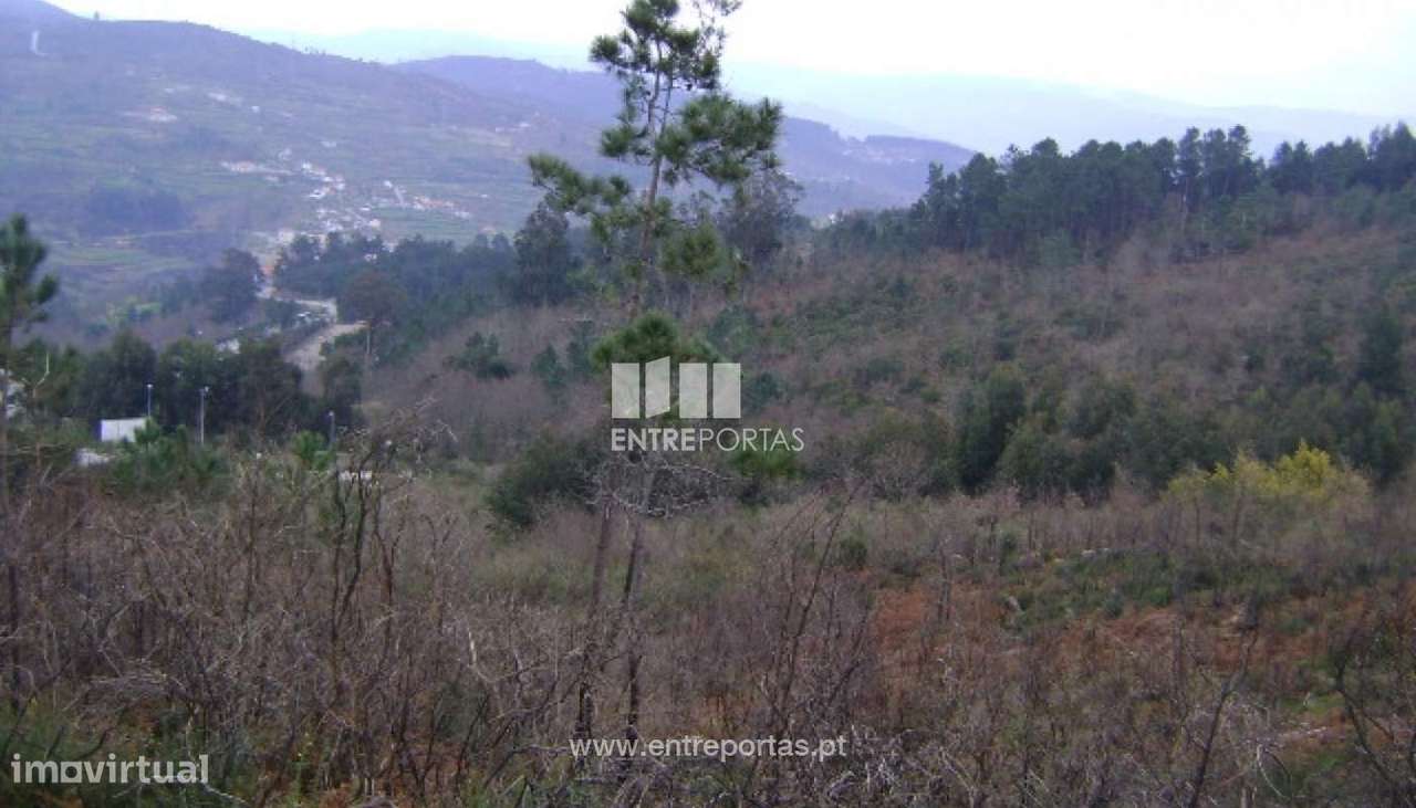 Venda Terreno, Campelo, Baião - Grande imagem: 2/5