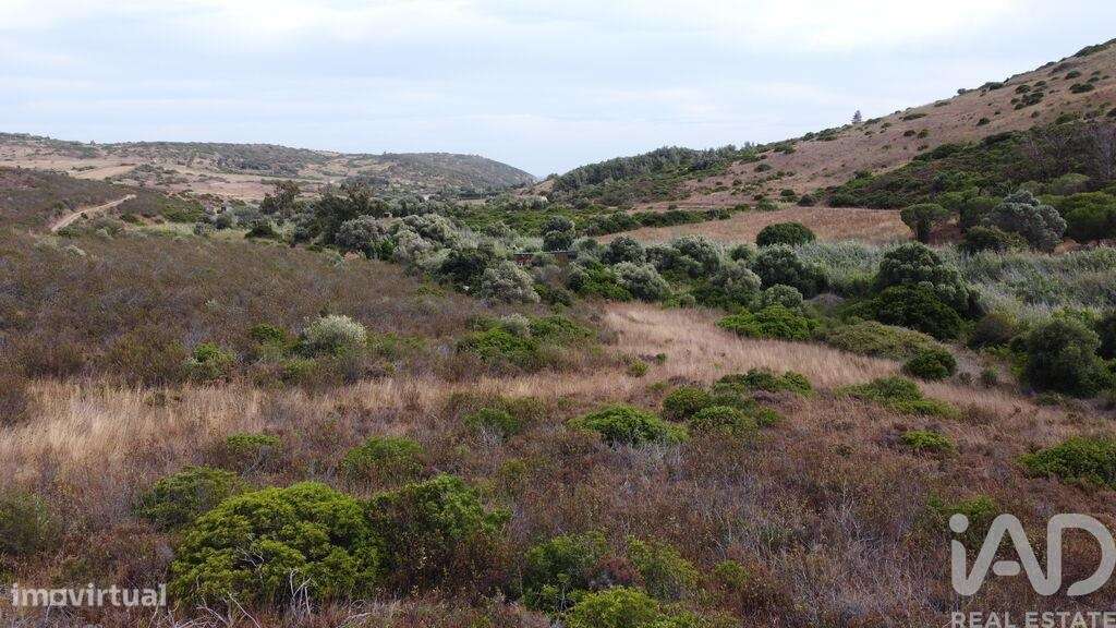 Terreno em Budens de 10040,00 m2 - Grande imagem: 5/30