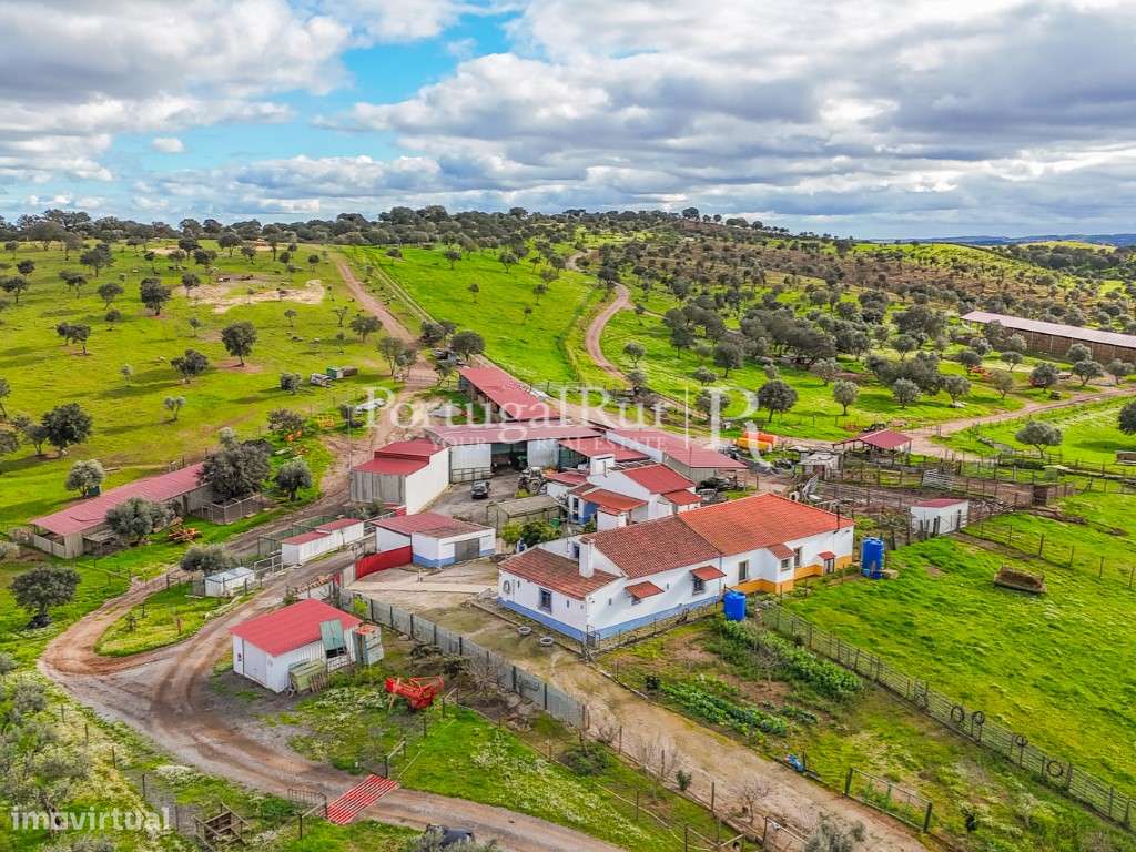 Herdade de 62 ha em Vendinha, Évora - Grande imagem: 1/47