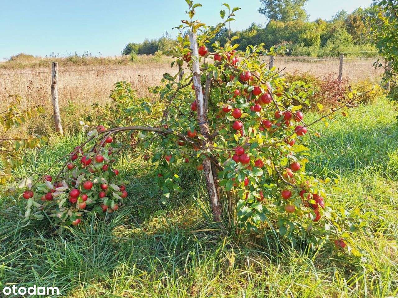 Okazja! Działka z warunkami zabudowy blisko morza - Pełny obrazek: 4/8