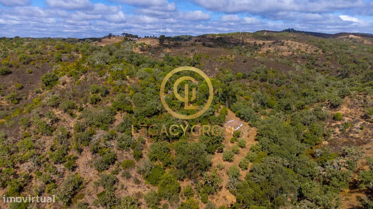 Quinta de 6 hectares perto de São Martinho das Amoreiras-36
