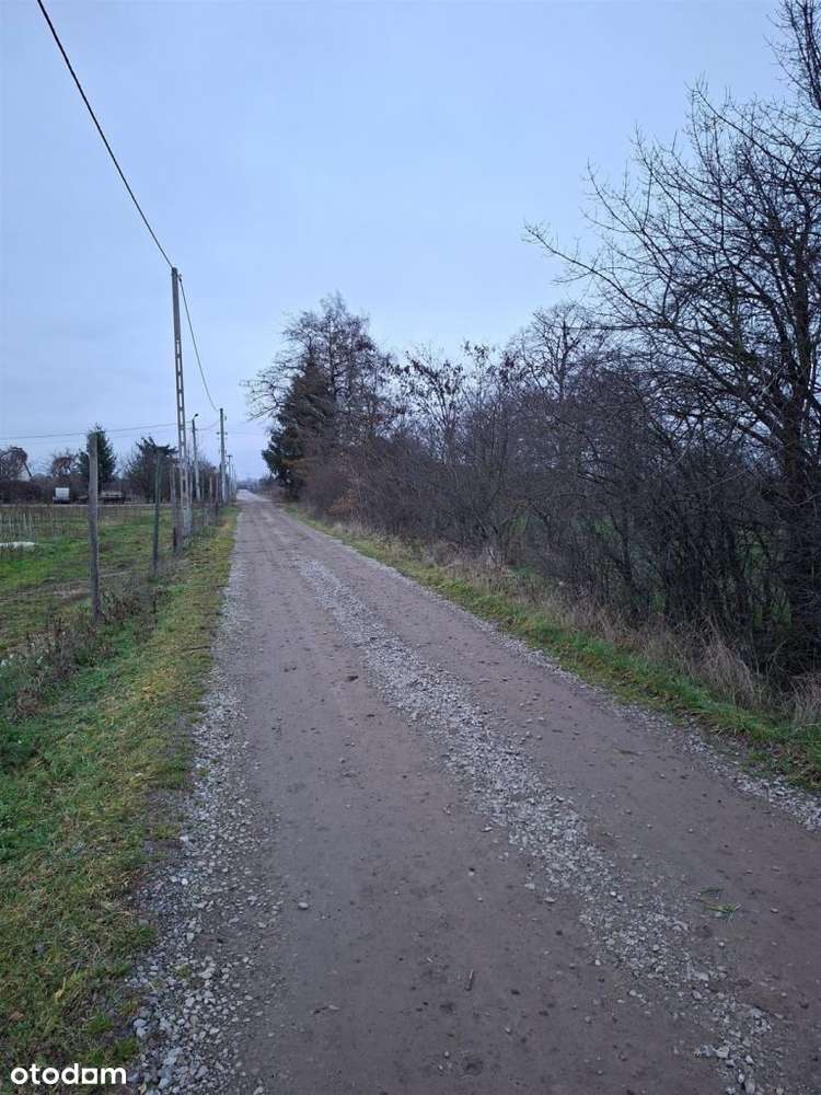 Działka rolna 1,7 ha, Czersk, gm. Góra Kalwaria-9
