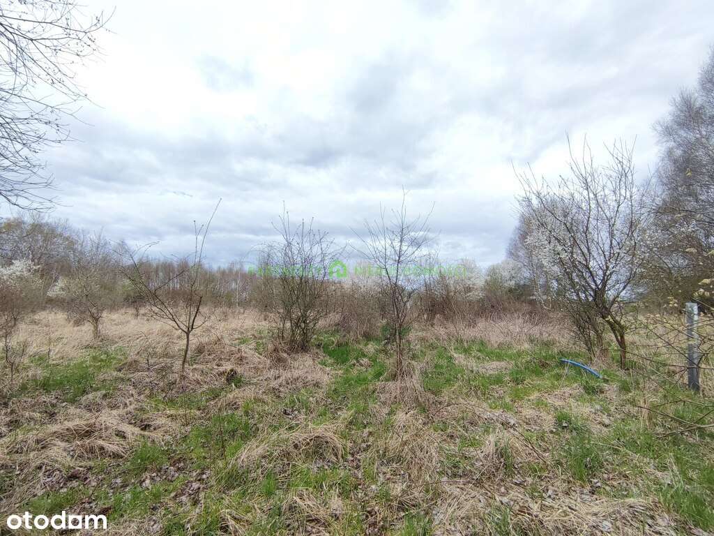 Atrakcyjna działka budowlana na Warszewie  z mpzp - Pełny obrazek: 3/3