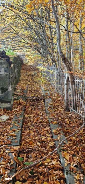 Teren extravilan 1200 mp, cu cabana, Tarnita, iesire la lac! - Imagine principală: 4/8