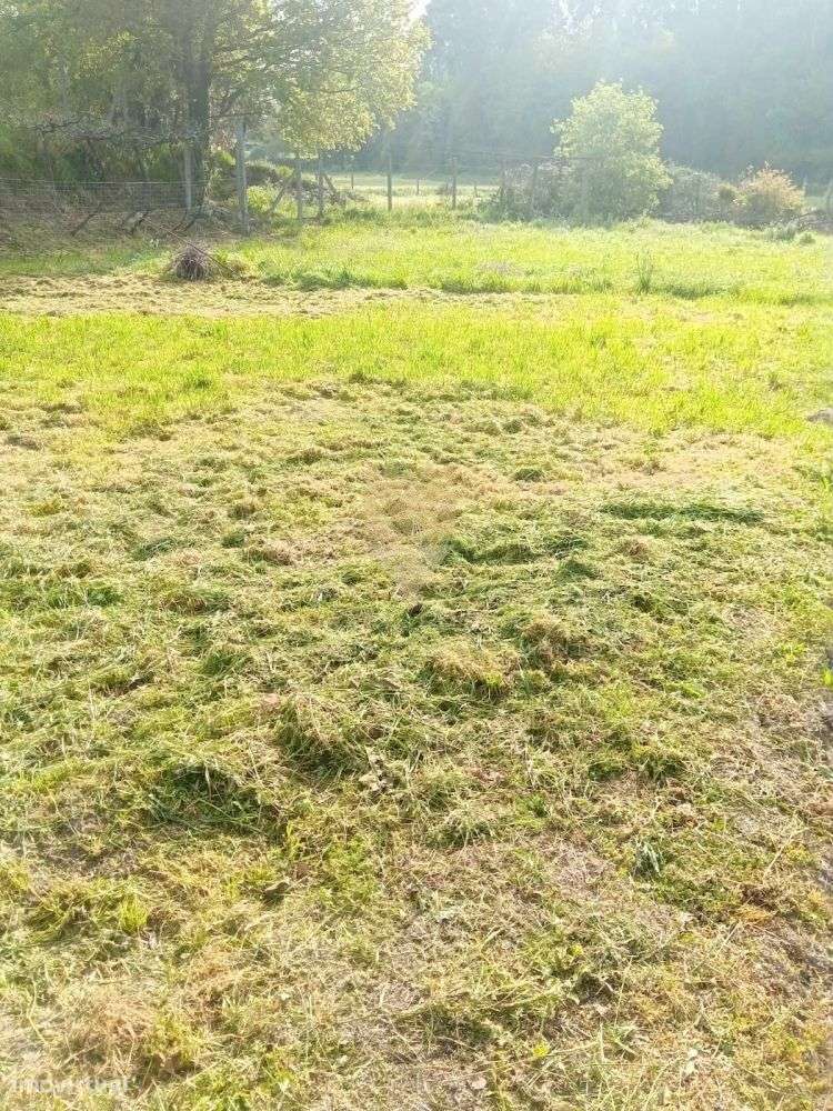 Terreno Rústico com 2.700 m² - Fonte Arcada - Grande imagem: 4/4