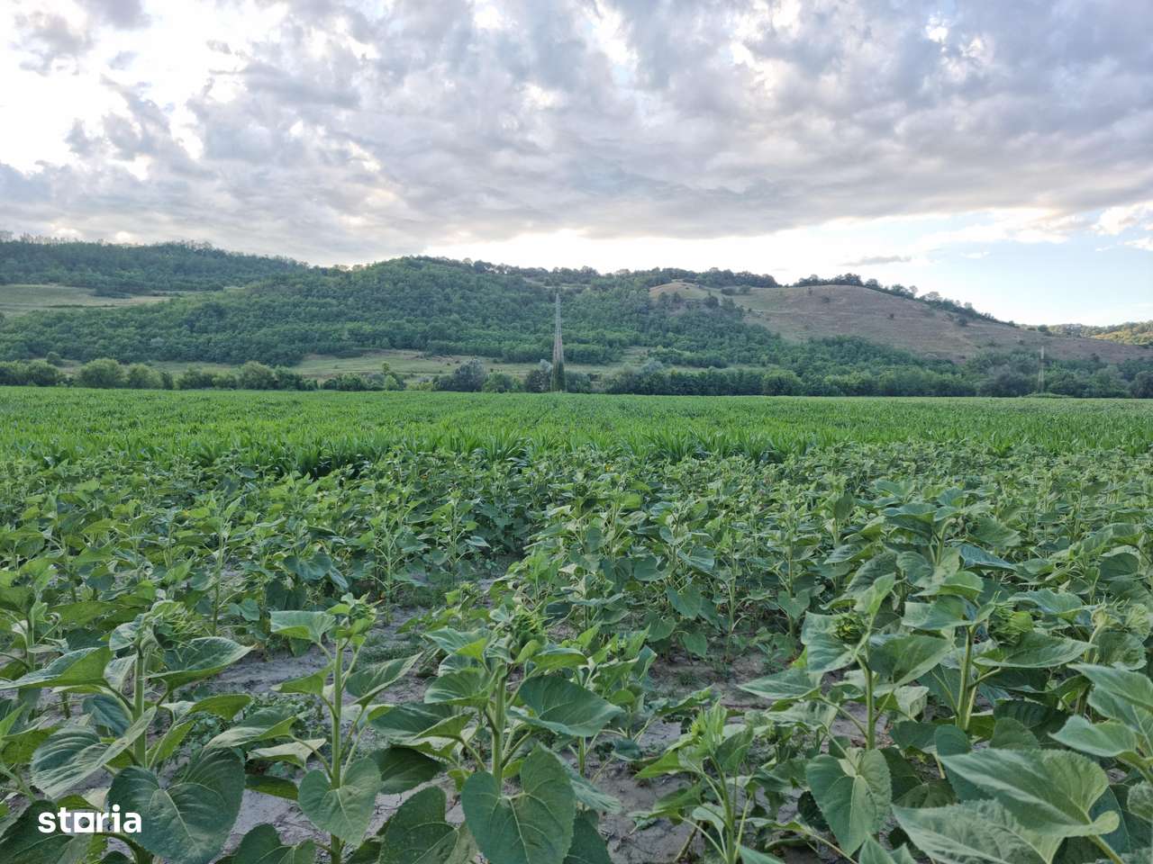 Teren pentru agricultură-4
