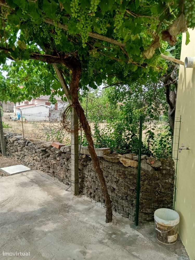 Moradia T3 com quintal em Castelo Branco, Mogadouro-5