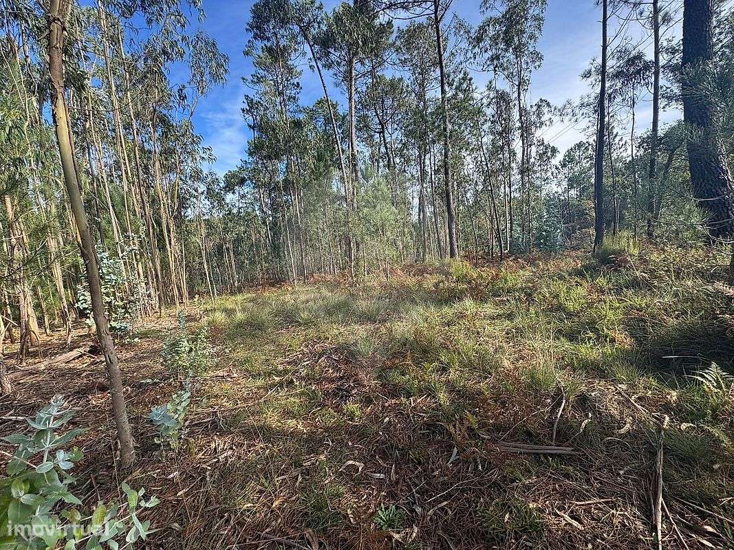 Terreno  para venda - Grande imagem: 5/18