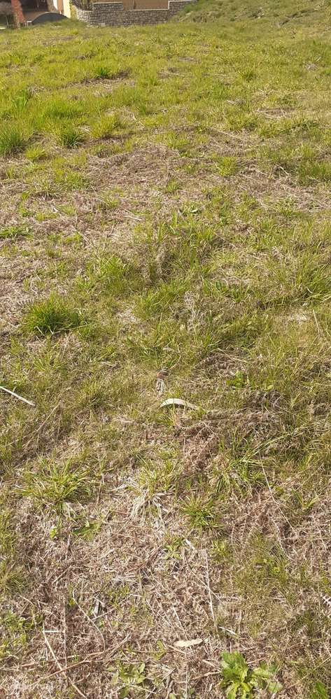 Terreno urbanizável em Sanguedo, Santa Maria da feira-11