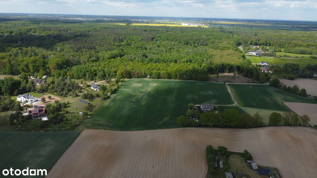 Atrakcyjna działka przy lesie-2097m2.BEZPOŚREDNIO! - Pełny obrazek: 4/8