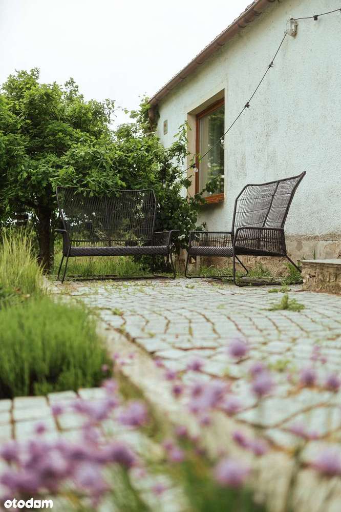 Duże siedlisko pośród pól z biznesem gotowym do przejęcia - Pełny obrazek: 5/20