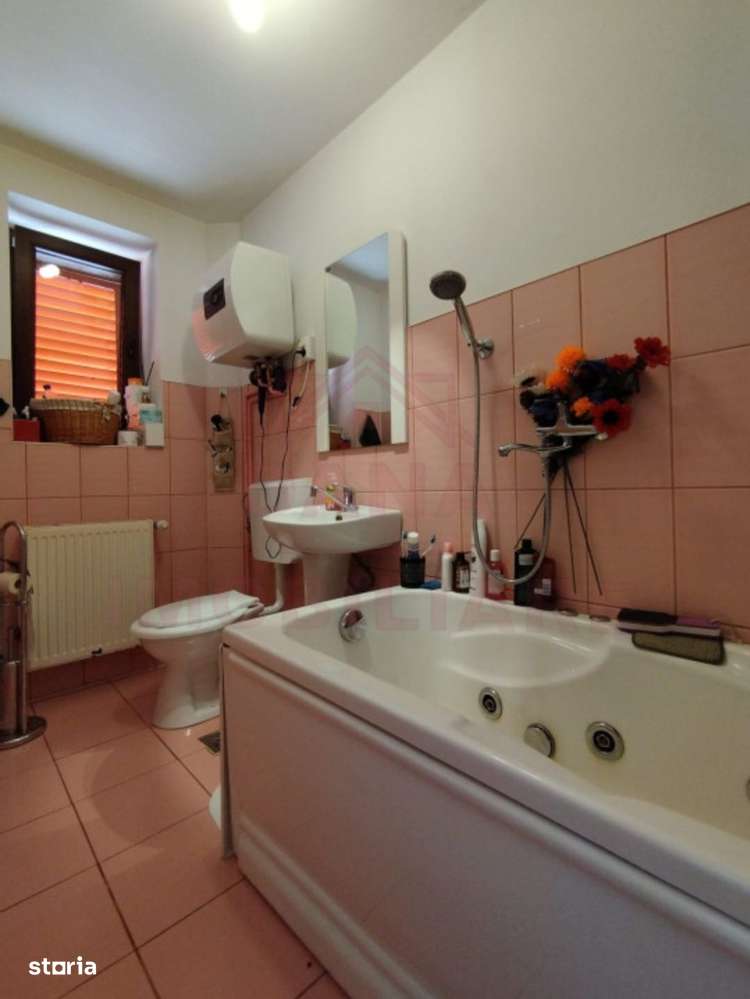 CASĂ DE VÂNZARE ÎN POUANA MĂRULUI,JUD. CARAȘ-SEVERIN-14