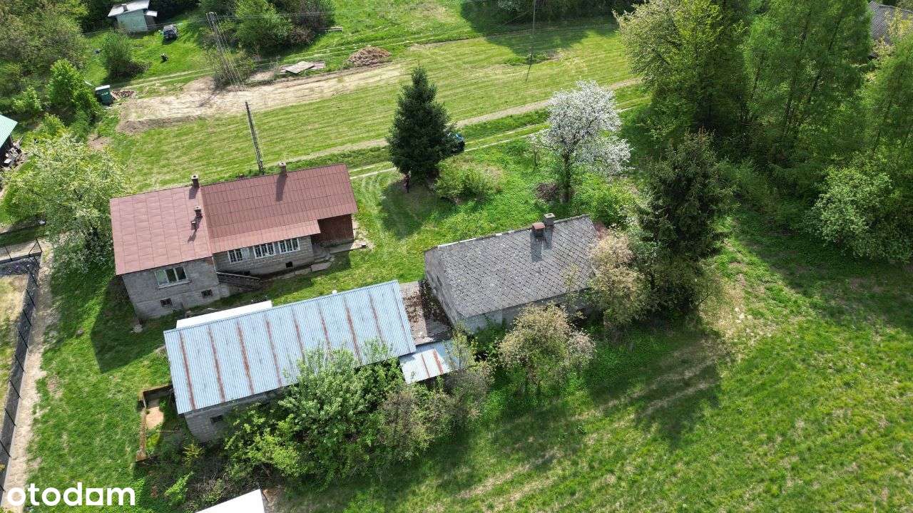 Dom z potencjałem w malowniczej okolicy – Podgrodz - Pełny obrazek: 3/10