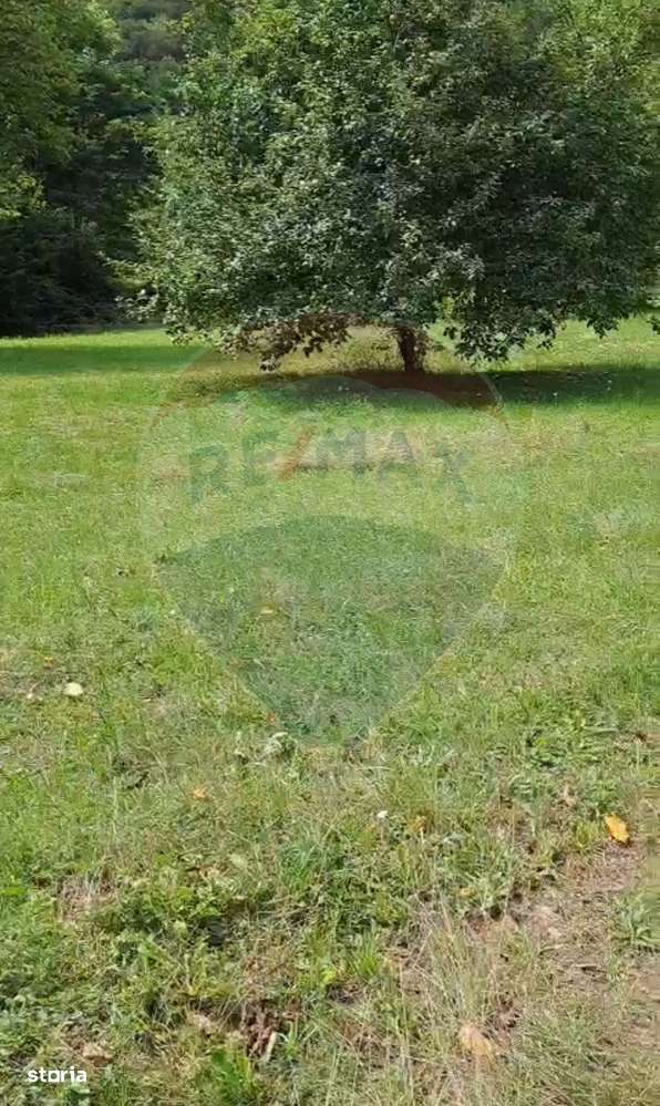 Casă langa parau-sat Brusturi, com. Halmagiu-10