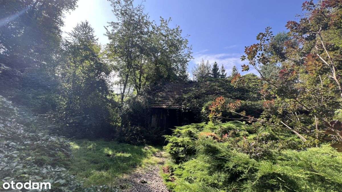 Inwestycyjna działka w Sierczy 39 ar, Pum 1000 m²-5