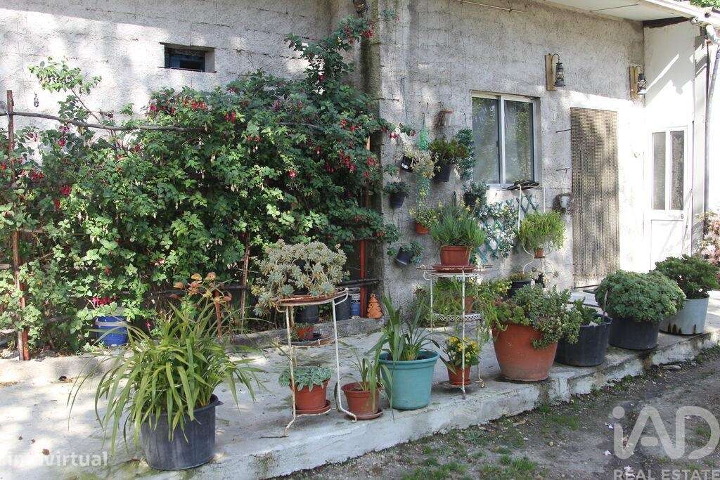 Terreno Agrícola em Oliveira do Hospital e São Paio de Gramaços-21
