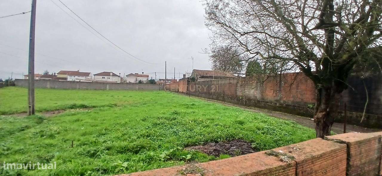 Lote Terreno venda Barqueiros - Grande imagem: 5/15