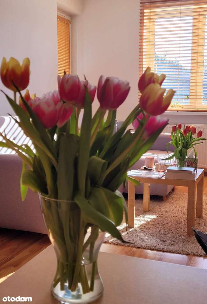 Idealne dwupokojowe gotowe mieszkanie | Zakładowa, Łódź - Pełny obrazek: 4/14