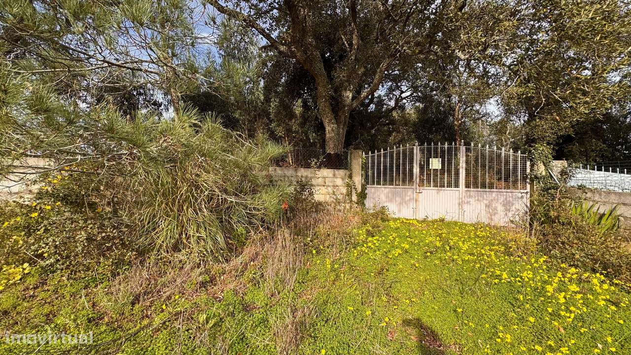 Moradia T5 com Terreno Generoso  - Mafra-14