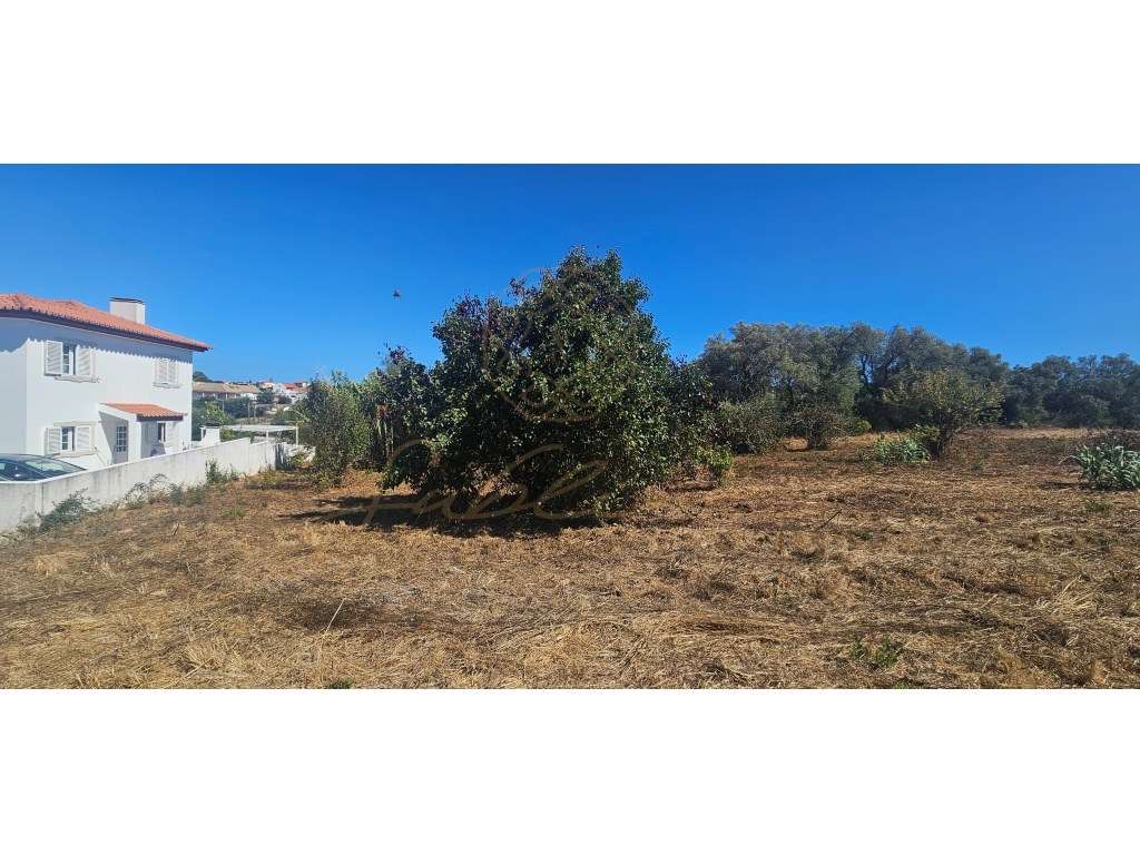 Terreno para construção de 2 Moradias!-8